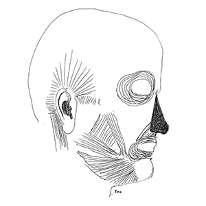 The Terror and Erebus